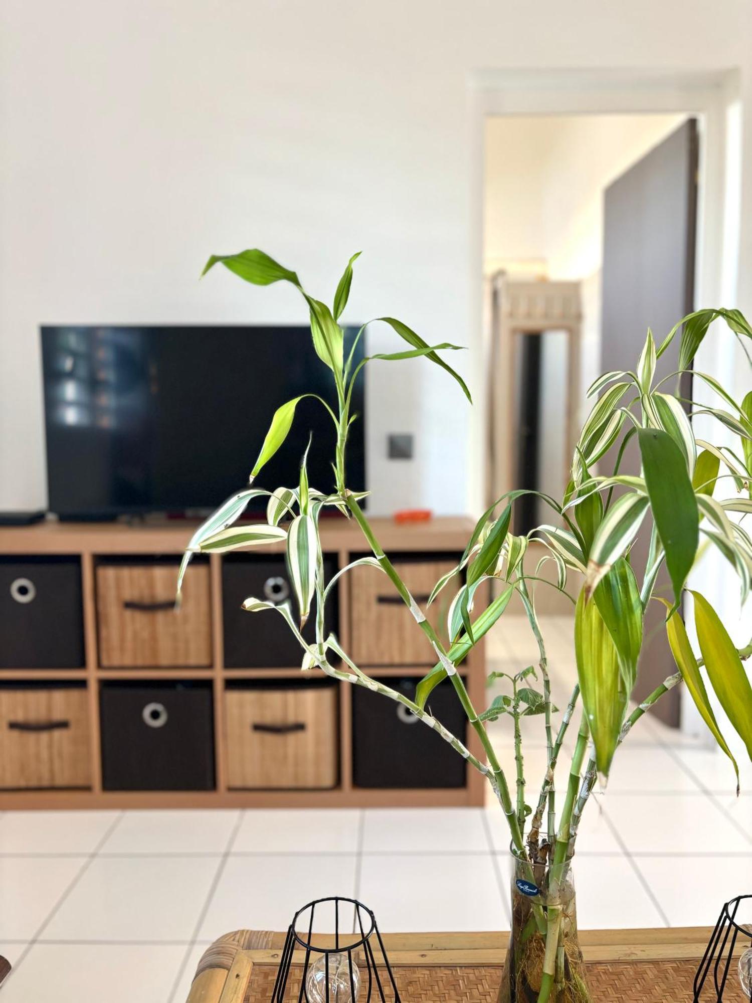 Le Gite Ohana - Proches Des Plages Et Jardin Prive Saint-Francois  Bagian luar foto